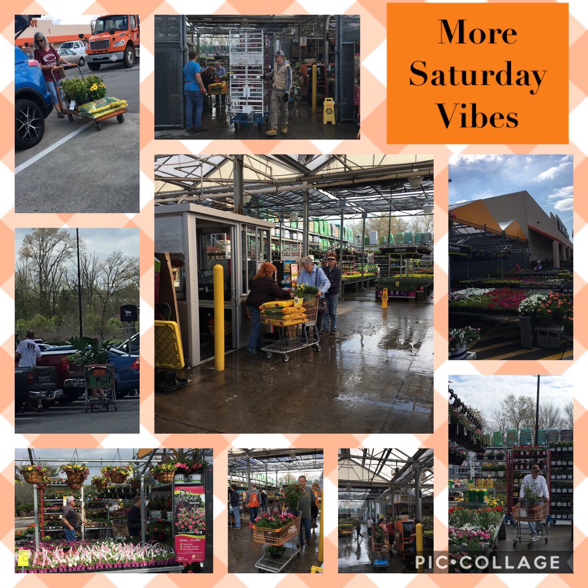 7Karthur's tweet photo. ☀️ 🌺Beautiful Saturday, perfect for shopping for all your garden needs! Oak Ridge Home Depot rocked it today!🌺🌼
#HD736 @kimscottholman @KimDay59187302 @NorliaSumpter @DyerEric18 @NealMattison @MetrolinaGHS @CostaFarms #teamorange https://t.co/QxacJo2toM