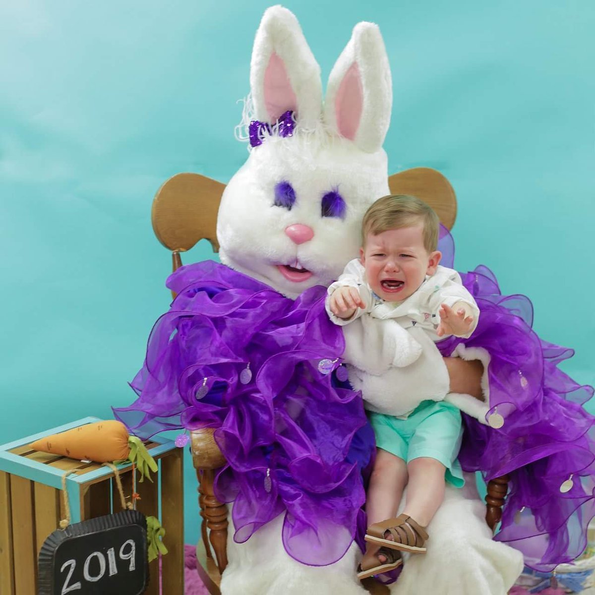 sleining's tweet photo. I really didn't do anything to make him cry.  #easterbunnyphotos #cryingkid @TheEllenShow https://t.co/h9D31a69ei
