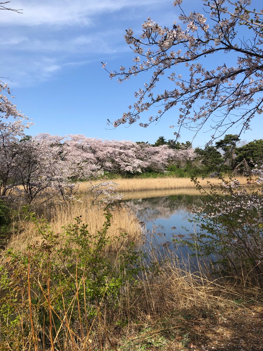 sunday morning coffee~^^