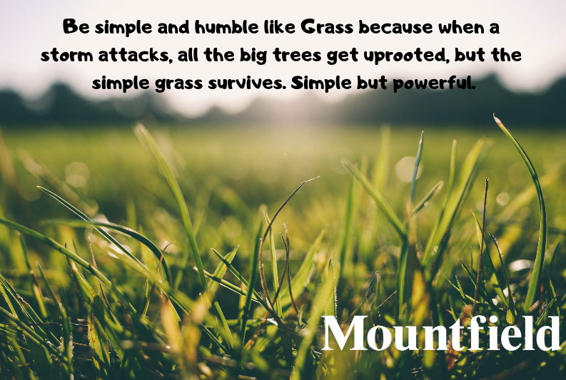 MountfieldMower's tweet photo. https://t.co/F9UMvK1XND