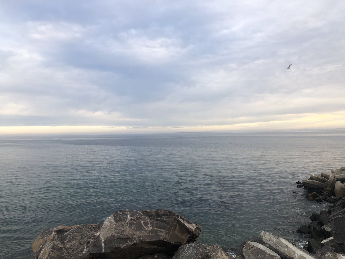 dannicholl's tweet photo. We might have finished the #danvsjason challenge, but two days of @StellWineFest requires some balance - and it’s a beautiful morning for a (rather short) run in Cape Town. https://t.co/bUOtItE8AH
