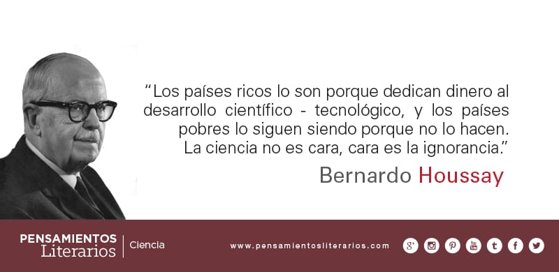 pitu_thomas's tweet photo. Lamentable lo que están haciendo con el CONICET, el desprecio por los investigadores y el incentivo a la fuga del pensamiento hacia otros países, mucha tristeza. A pensar bien cuando se tiene la urna en frente.... 2500 investigadores sin oportunidades...#lloraargentina https://t.co/PsHzw36Ceb