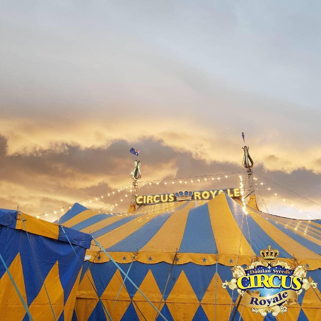 D_S_Presents's tweet photo. Thinking about the perfect activity these school holidays?? Well we have the perfect day out for you. A trip to #CIRCUS ROYALE IN #CRANBOURNE. 
➡️ Perfect for the whole family 
➡️ Something for all ages 
➡️ Not to mention loads of fun 
🎟 BOOK NOW ON https://t.co/yVL7XCJuhX https://t.co/TuHx70Xqnr