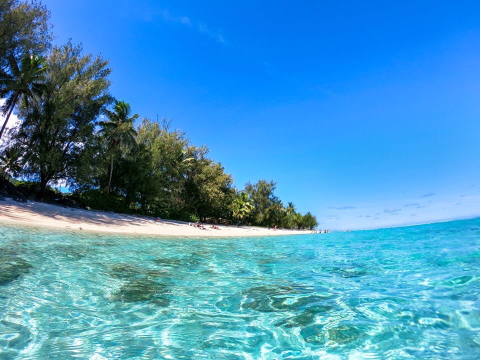 NOMADasaurus's tweet photo. Hello #Cookislands! We imagined you to be tropical but, the the clearest waters we have ever seen is a bonus!  We are going to spend so many hours at these beaches! #lovealittkeparadise #rarotonga #travel #islandlife #Paradise @CookIslands https://t.co/yQbAKpgPZU