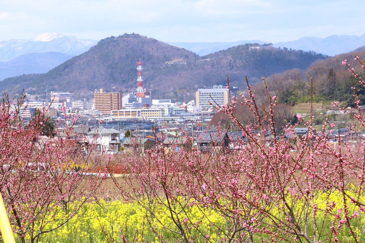 リゲル 福島市花見山 入口からは菜の花と桃の花の向こうに 信夫山が見えます 花見山 空ネット Ftvみんなの天気 福島撮影隊 Fukushima Fukusima Visitfukushima 19 4 6撮影