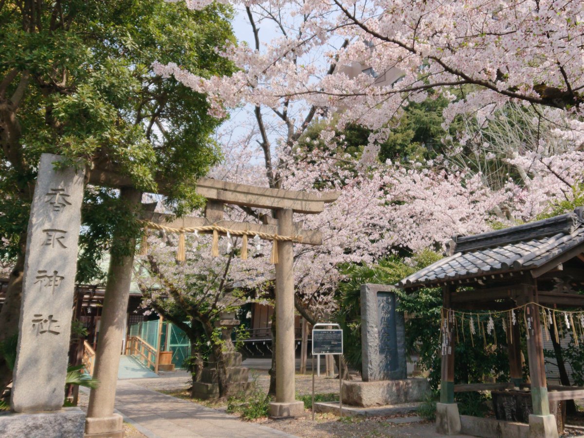 T A K A O 東京は今日もいいお天気 お花見もそろそろ最後でしょうか 間々井宮 新小岩香取神社 T A K A O 東京は今日もいいお天気 お花見もそろそろ最後でしょうか 間々井宮 新小岩香取神社