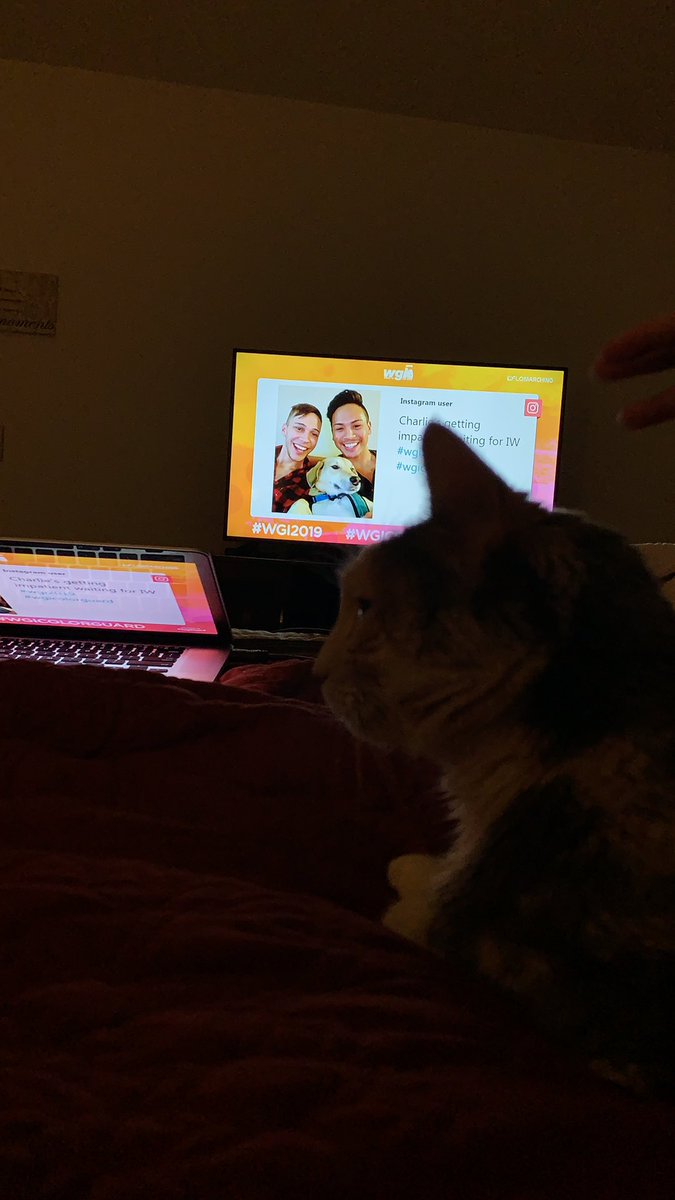 FinestBacon's tweet image. Just waiting for those finals results!!!!  #WGI2019 #WGIColorGuard