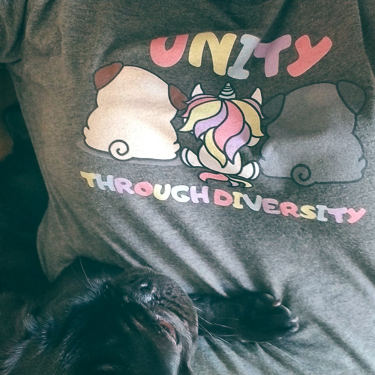 When me stands behind one of our shirts, sometimes me really just LAYS ON them. 💙😂💙😂💙

💙 scribblepug.com/products/unity… 💙

#pug #pugs #dogsoftwitter #dog #dogs #puglife #pugshirt #pugshirts #shirts #shirt #tshirt #unity #diversity #unicorn #fawnpug #blackpug #blackpugs