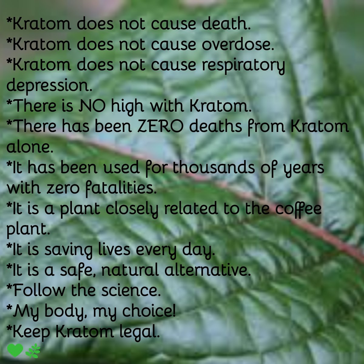 kimklessig's tweet photo. #iamkratom #kratomsaveslives #plantsnotpills #followthescience #educationnotprohibition #kratomeducation https://t.co/onDRqMA2JA