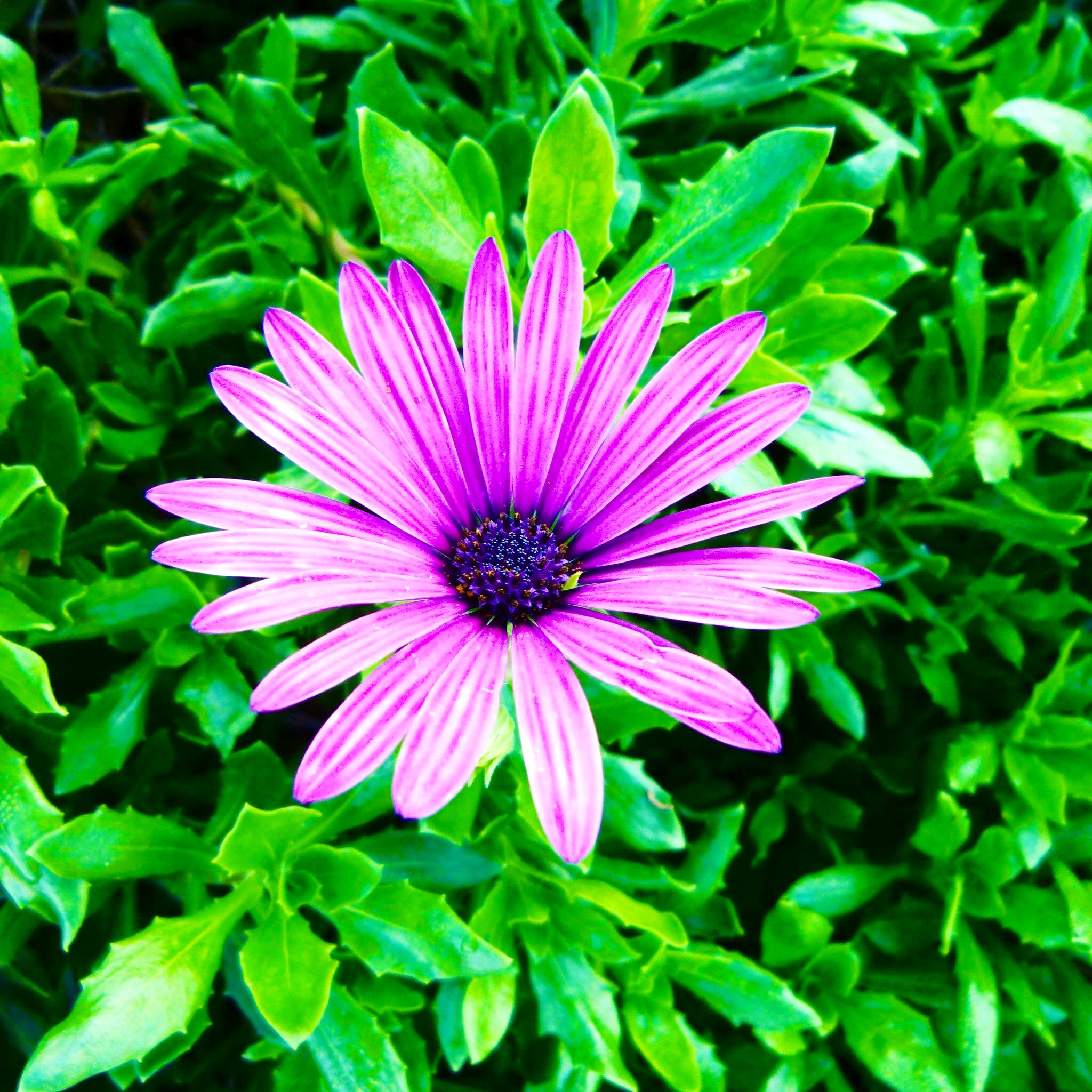 Capemarigold Twitter Search Twitter