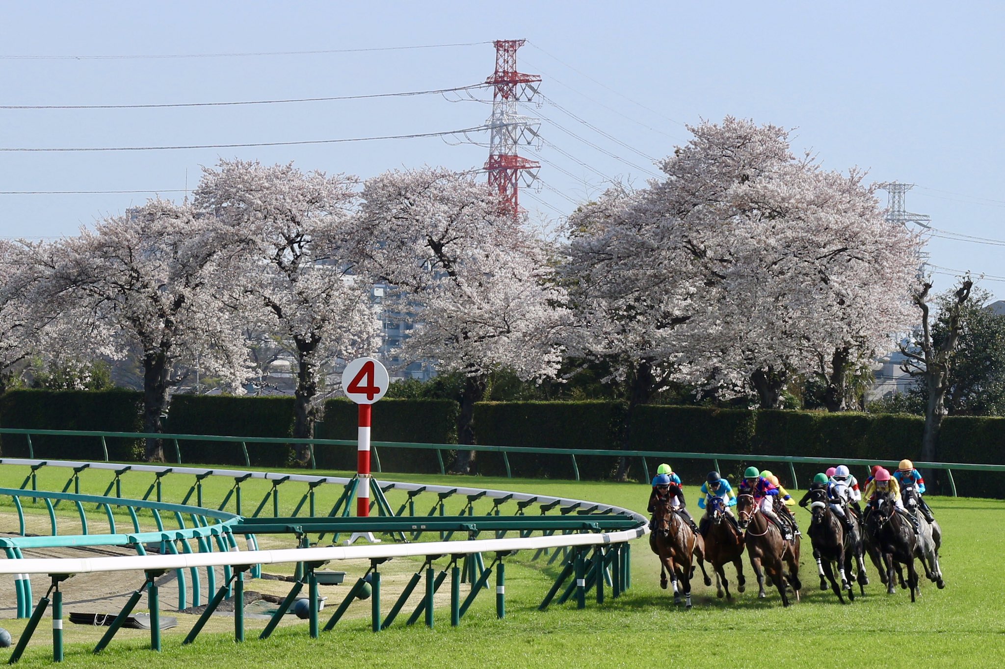 JRA FUN on X: 