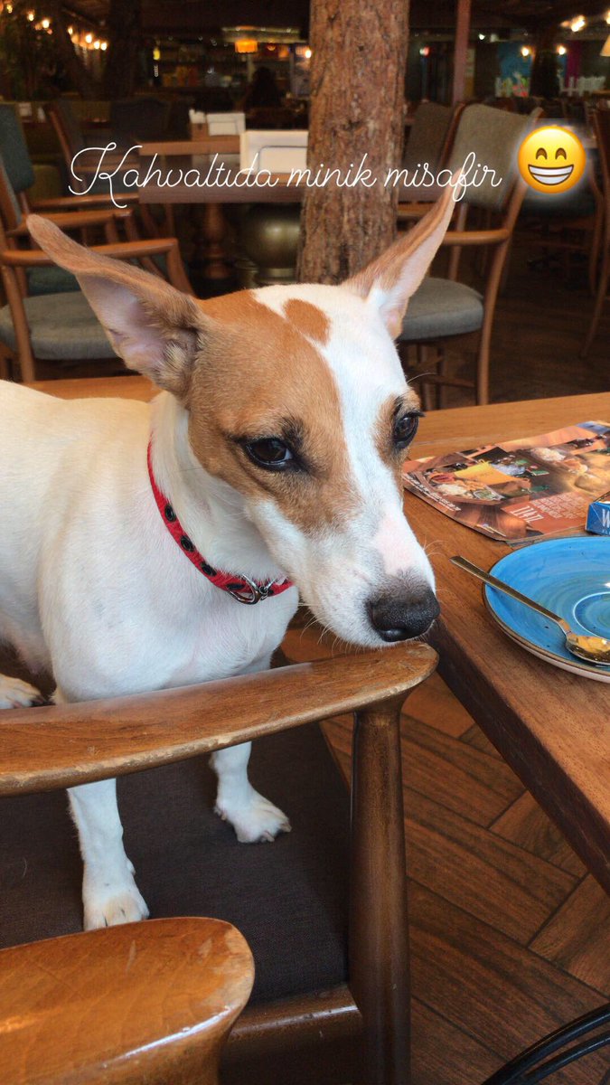 Böyle bir güzellikle pazar kahvaltısı