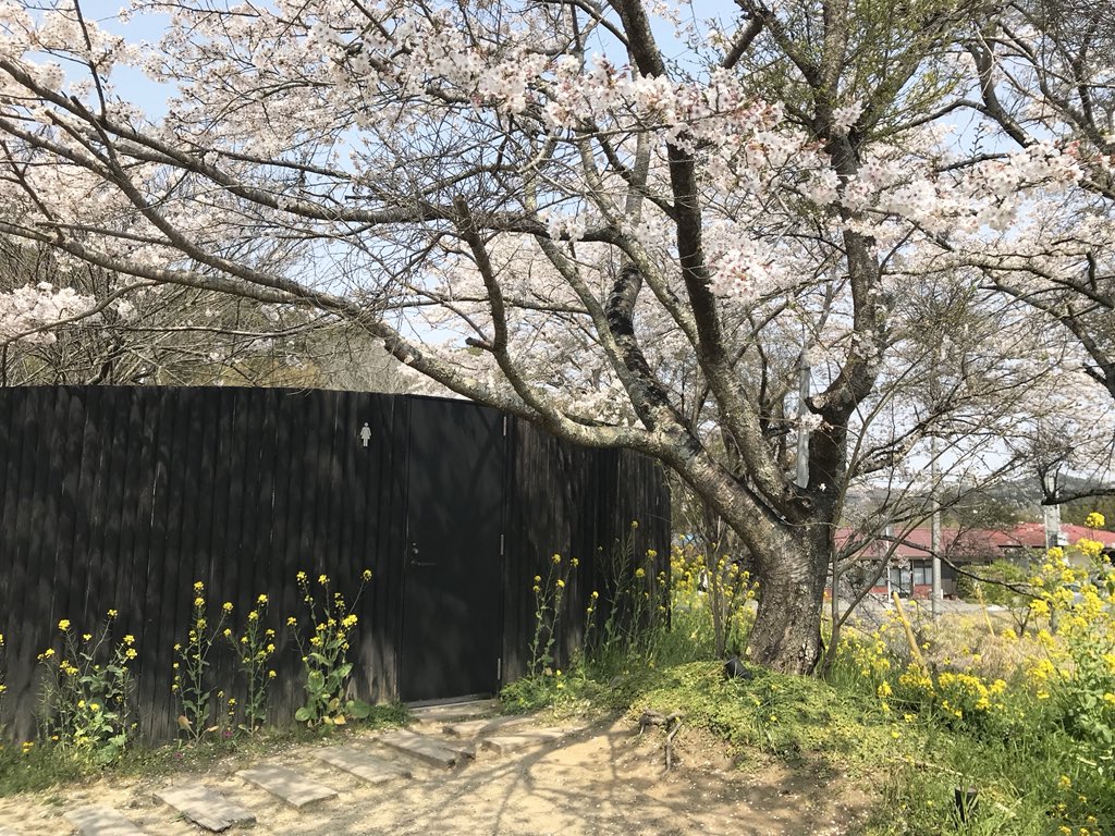 世界一広いトイレに行きました?? 