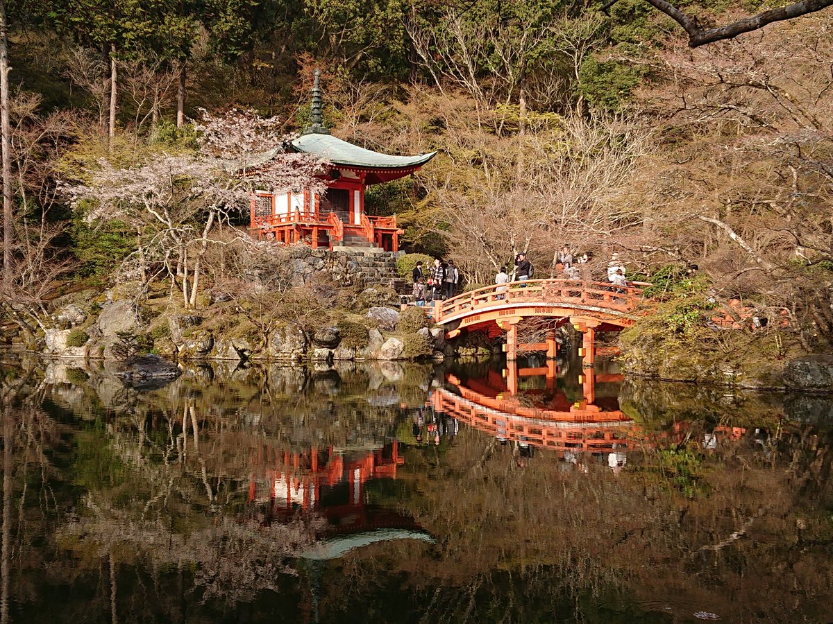 京都空手玄武館 (@genbukan_kyoto) / Posts / X
