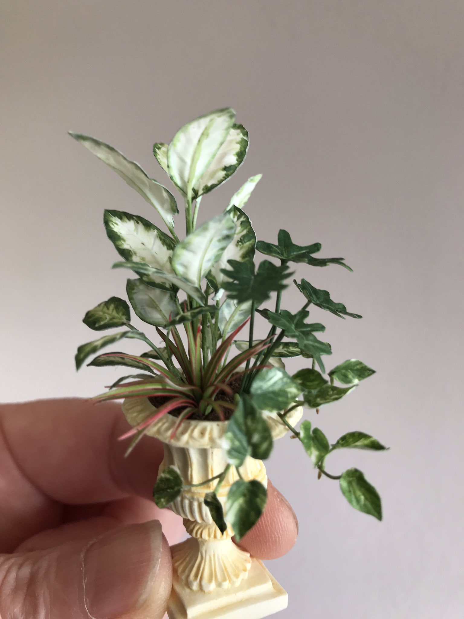 Hiromi Takahashi 観葉植物の寄せ植え ご依頼頂いてた作品やっと出来上がりました 今回のポトスは以前より作り方を変え 根っこ部分もたくさん付けてます よりリアルさを目指して ミニチュア 観葉植物 Miniature Plants T Co Caki9shxre