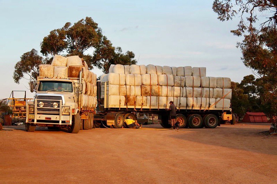 MerinosPoll's tweet image. Australian wool - you can’t beat it.