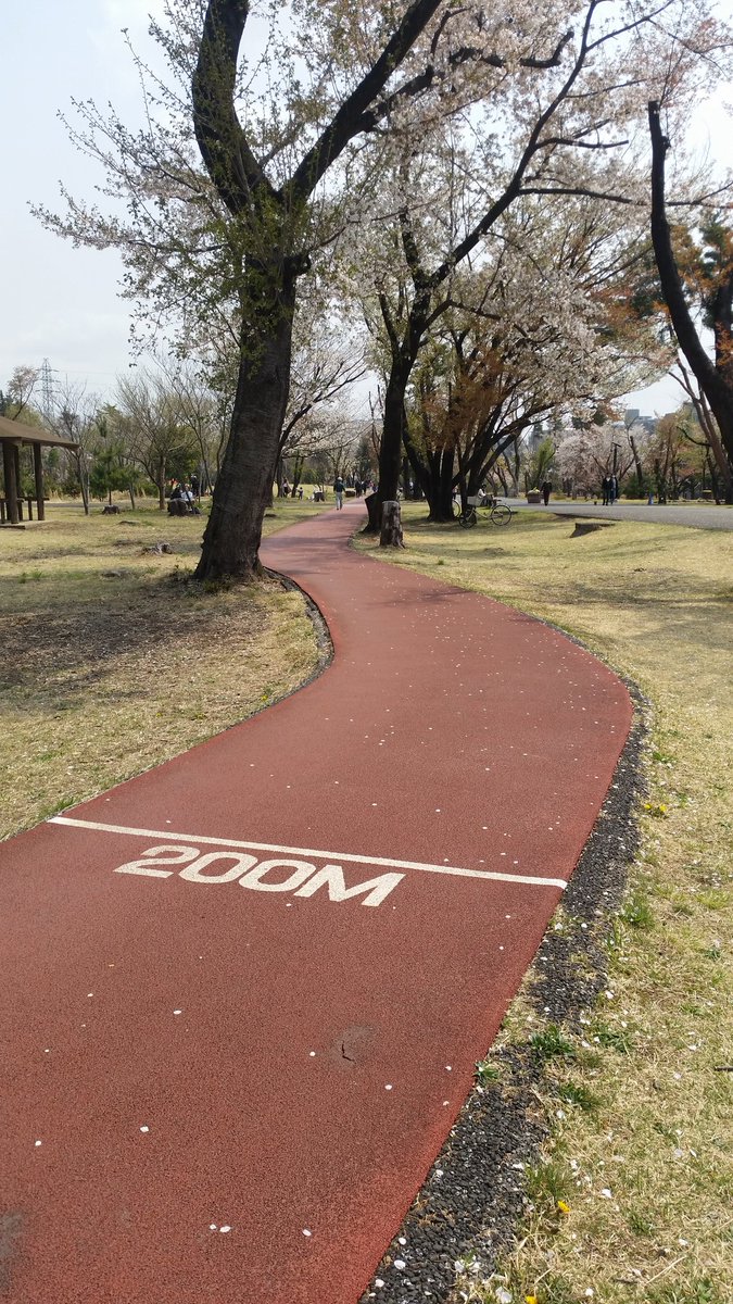 62ZyxBlAhQ6kf9m's tweet photo. 1km歩き
アップ5kmjog 23.00
100m坂×3本
100m×2本
1500m TT
400m 74
800m 76(ラップ)
1000m 3.16 中止🚫
左足脹ら脛固まる😰
ダウン7km 終了
脹ら脛疲れ&amp;スピード持久力不足
しばらく走り込みjogと
8～9割のインターバル
ペース走で繋いで行きます♨

#WMACi #1500m
M60 M55 M50 
決勝タイム https://t.co/XLRnWiKohJ