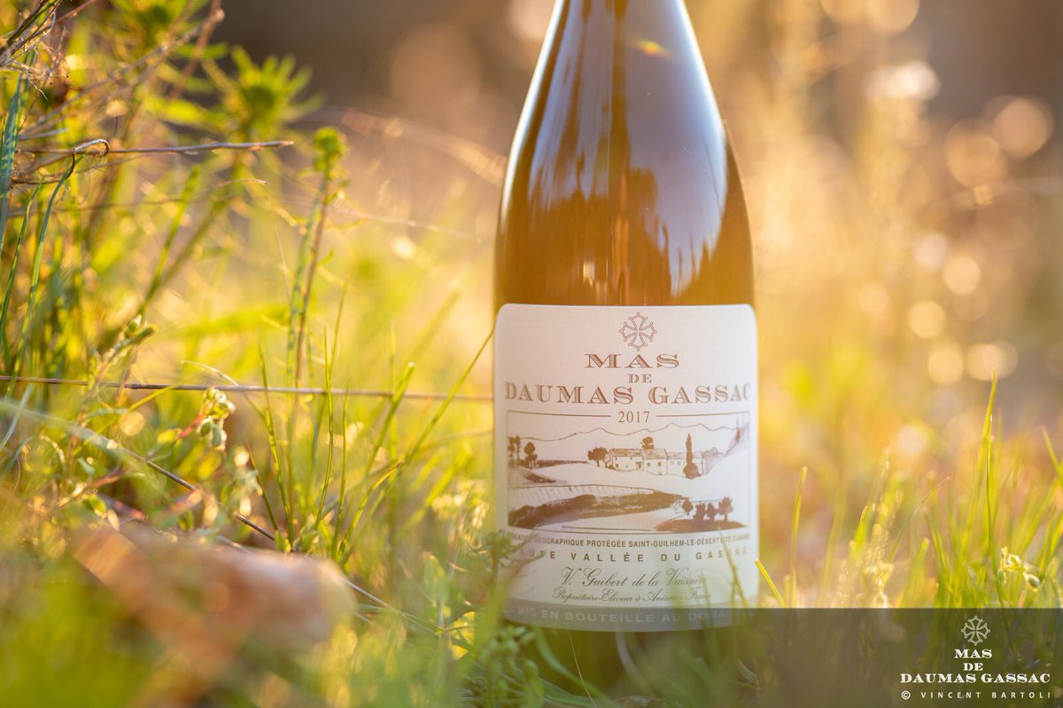 BGatDG's tweet photo. Unique taste of Mas de Daumas Gassac: soil, microclimate and style. 🍇🍷
Ice Scree soil (deep, poor organically and rich minerals). #masdedaumasgassac #gassacwines #daumasgassac #cabernetsauvignon #wine #winelover #finewine https://t.co/0KXpyEIm5v