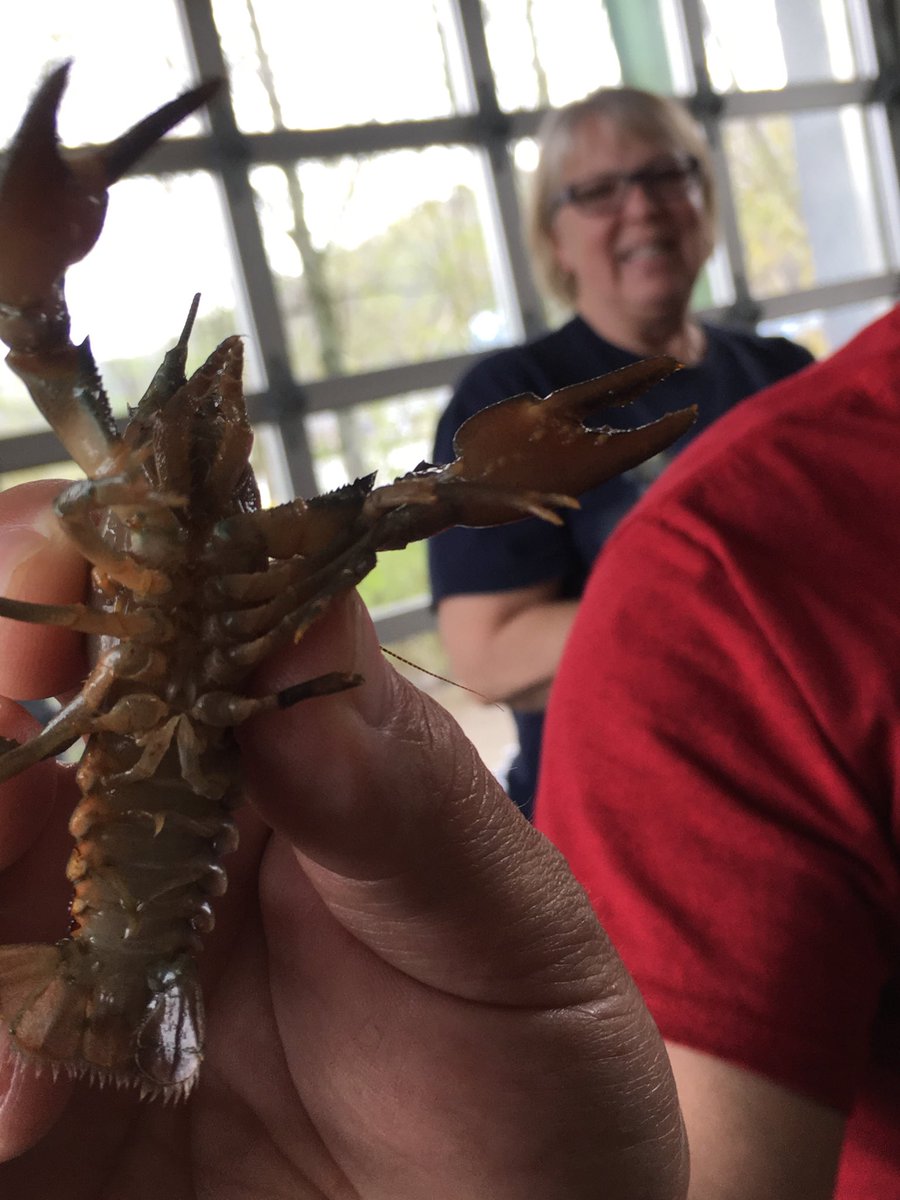 carolpatrick4's tweet photo. What some teachers do on Spring Break? Go to an all day Crayfish teacher PD! Learning to incorporate #NGSS with the 6-E Learning Model so that 5th graders at Roosevelt become authentic citizen scientists! #STEM #crazyaboutscience https://t.co/rqUDAvBkCi