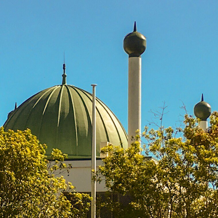 kylastephan's tweet photo. Me: *calming chatting at local mosque* ‘I’m a librarian.’
Lady: *excitedly squeals and pulls out phone* ‘You’re Lamington’s mother! We follow each other!’
Me: *explaining to other bemused ladies* ‘My cat’s famous.’ #openmosqueday #mosqueopenday https://t.co/GqP9yuTC4P