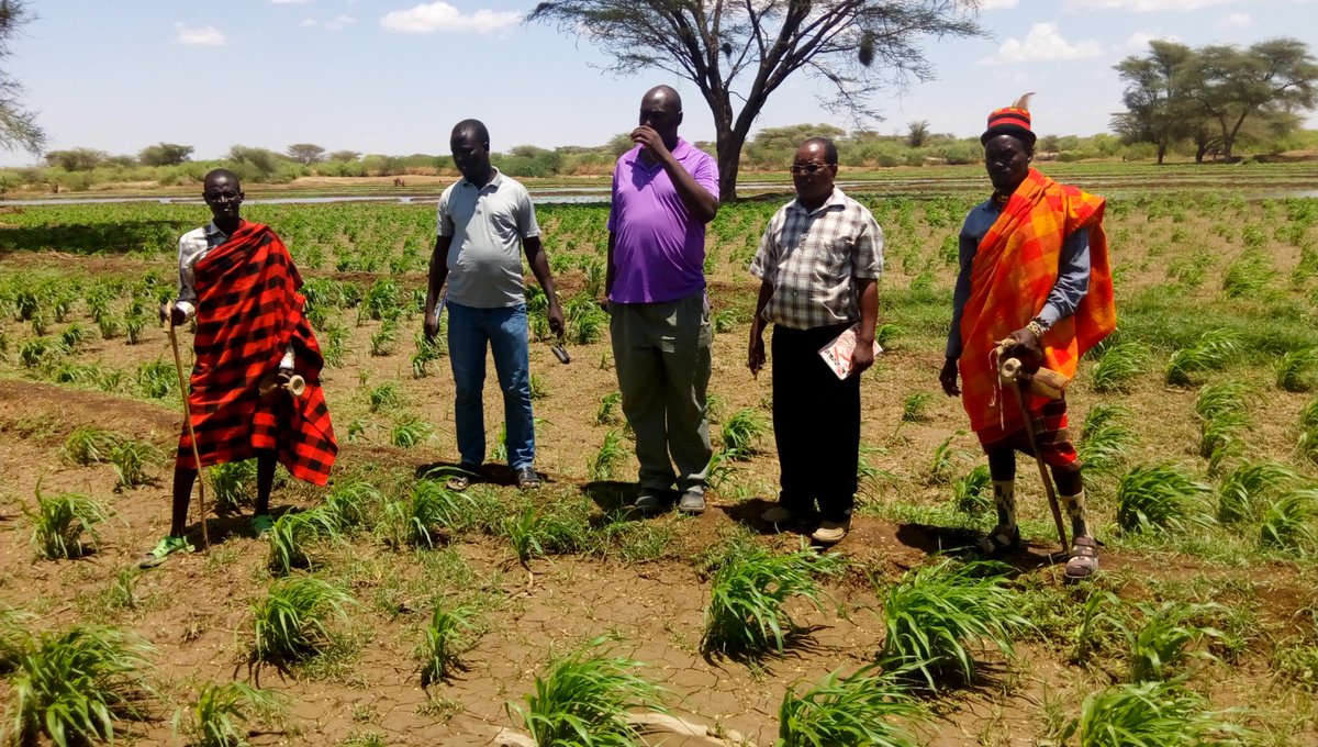 Min. of Agriculture, Pastoral Economy & Fisheries tweet media