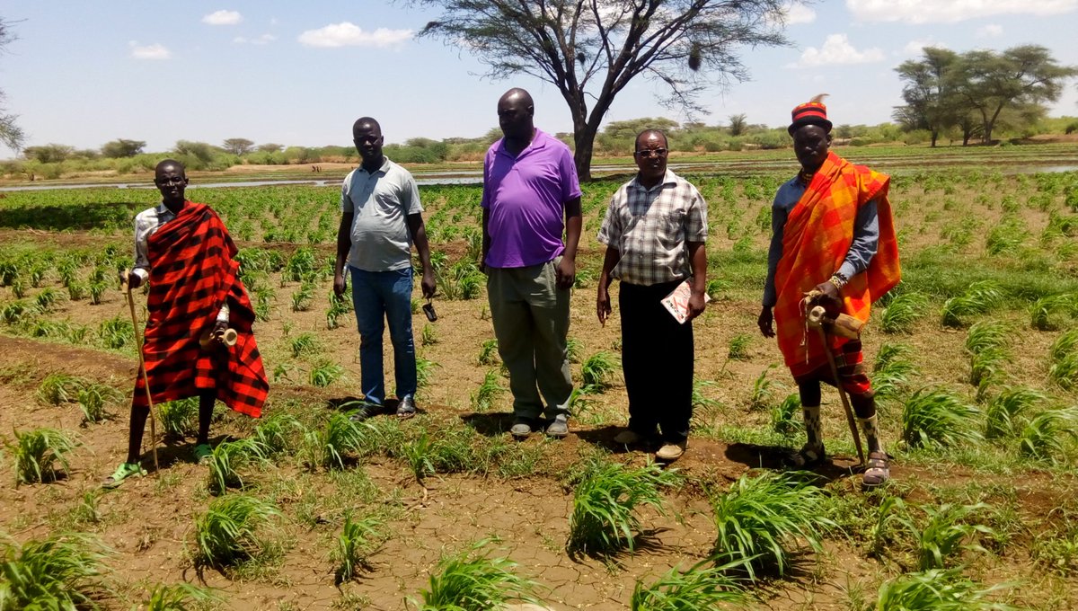 Min. of Agriculture, Pastoral Economy & Fisheries tweet media