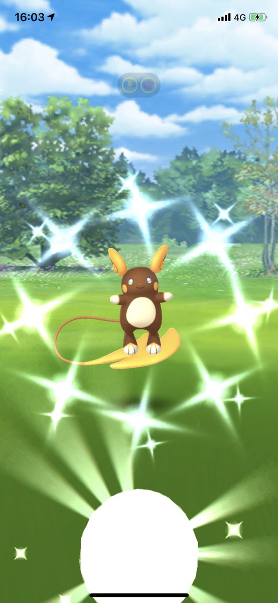 色違いアロライ