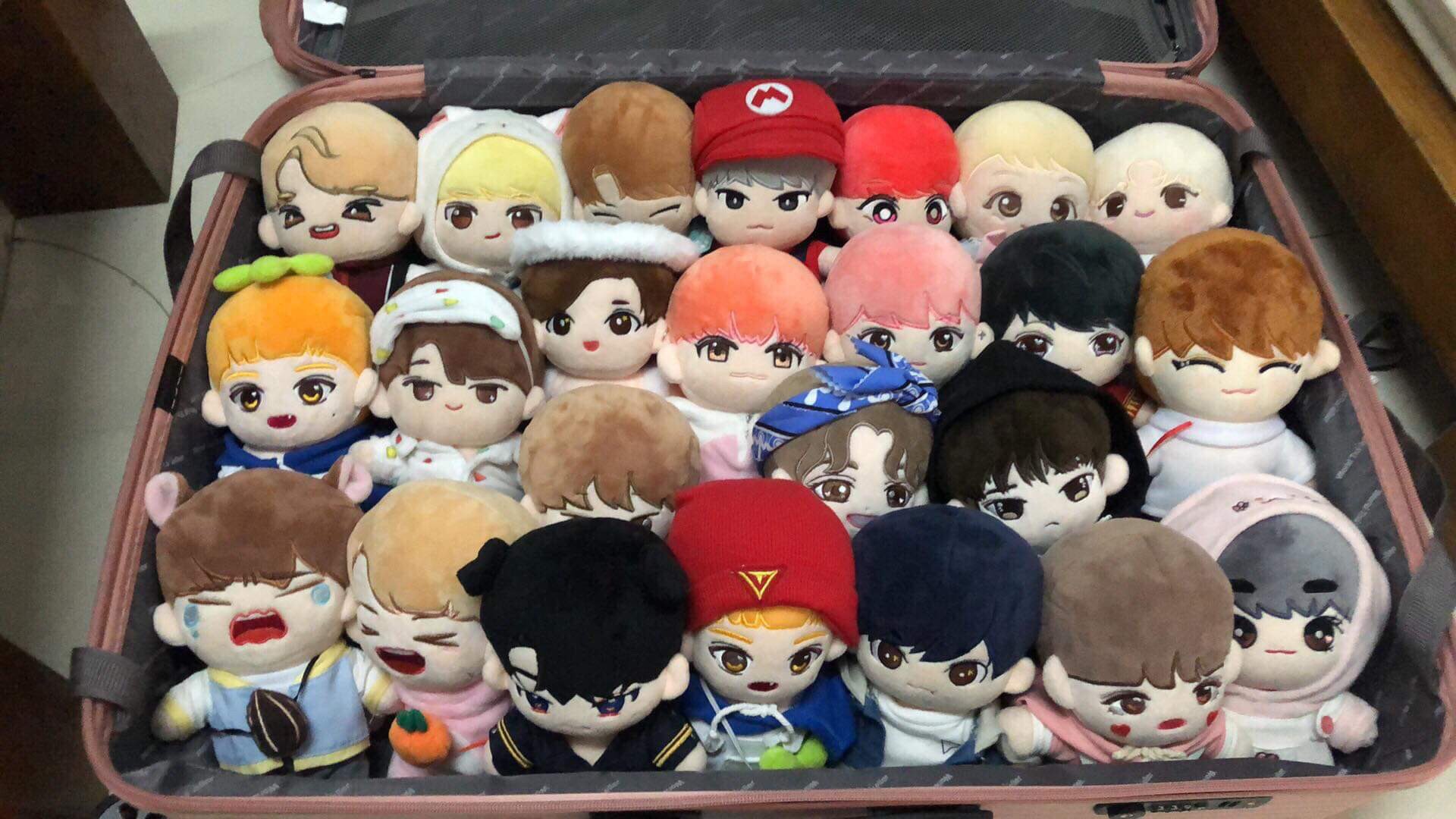 Super Seventeen Seventeen セブチ ぬいぐるみ 人形 ホシ ウォヌ T Co Hrptweuxrr Twitter