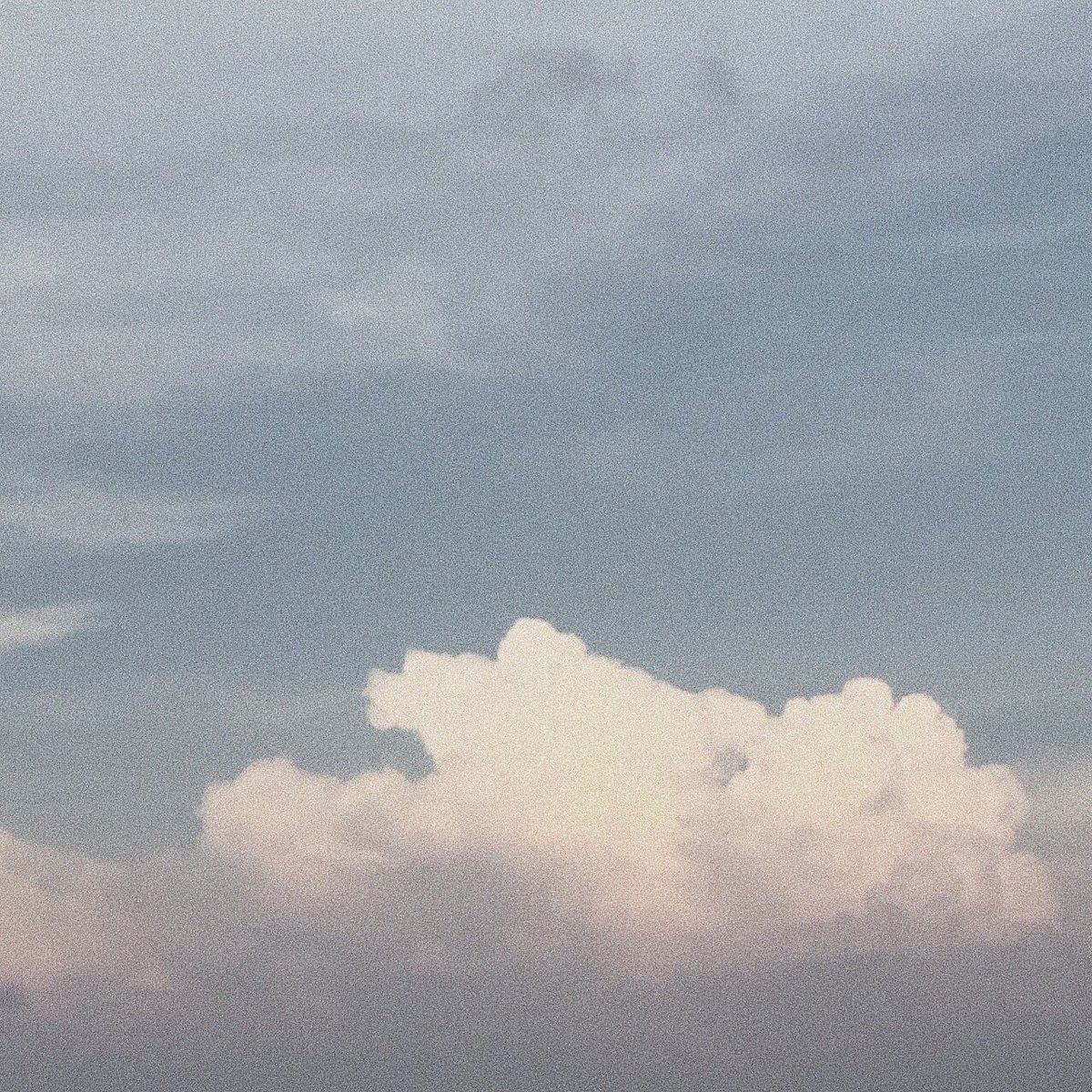 —𝘭𝘰𝘯𝘨𝘵𝘪𝘫𝘶𝘥𝘦 tweet media