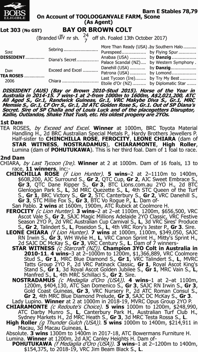 馬 Le Cheval♘♞ tweet media