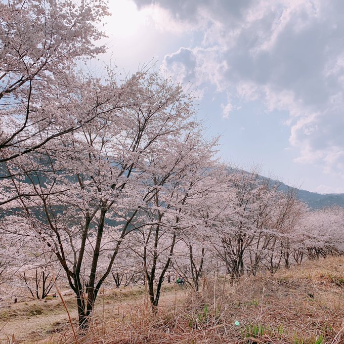 Twitterのコスプレ画像15