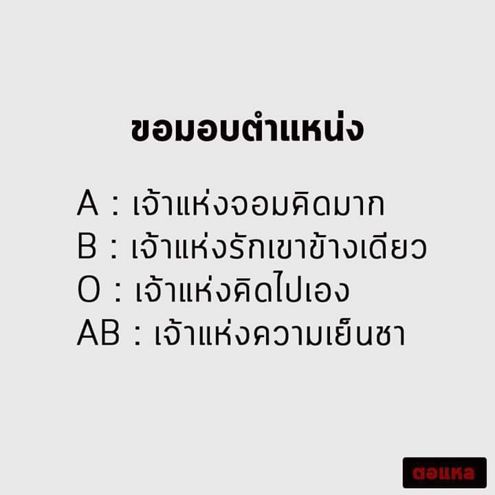 HailtheAllking's tweet photo. ไปเจอมาๆ https://t.co/TQ4jyUq30T
