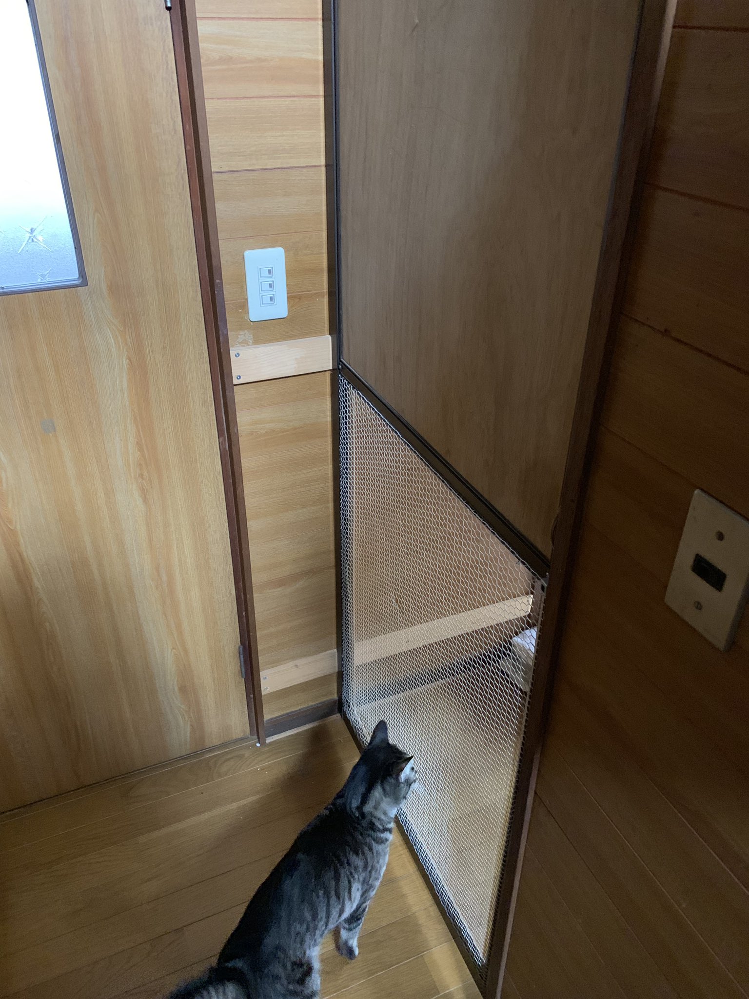 おさるのななちゃん Sur Twitter 猫の脱走防止の扉 自作です 網戸の枠を使って下は粗めの網を付けると猫 も視界が良くなり安心ね 上の部分は登らないようにベニヤをはめ込み 裏を見ると網戸の枠ってバレバレ 同居猫を隔離する時や 行動範囲を規制したい時に便利