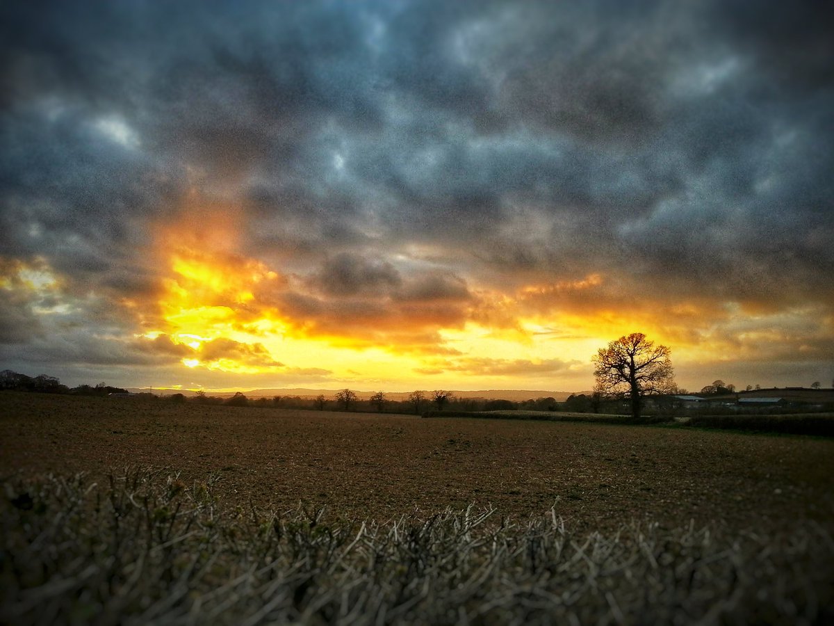 JMCookPhoto's tweet photo. Good Morning all from Devon, UK.

Sunday! Up early and out strolling with the dog. Hoping the cloud cover will pass for another family day out today.

What are your plans?

#sunrise #devon #exeter #jmcookphotography #love #countrypark #countryside #sun #sky
@DevonLife
@VisitDevon https://t.co/sg5rmWb5mq