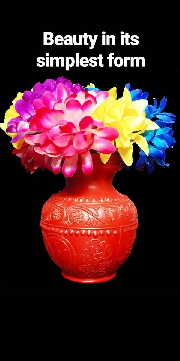 PushpentS's tweet photo. Trying to find beauty in the simple things.... #photography #passion #rn5pro #interest #instagram #pot  #flowers #red #colours #new #simple https://t.co/y1glXfEuCC