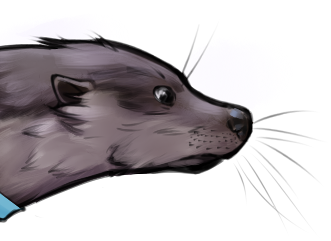RiverHoltArt's tweet photo. last but most certainly not least in the #Hauntedcarousel series, the Japanese river otter. first thought to be a subspecies of European river otter, these creatures were only identified as a unique species after their extinction in 1979. https://t.co/uws2YmqYtS