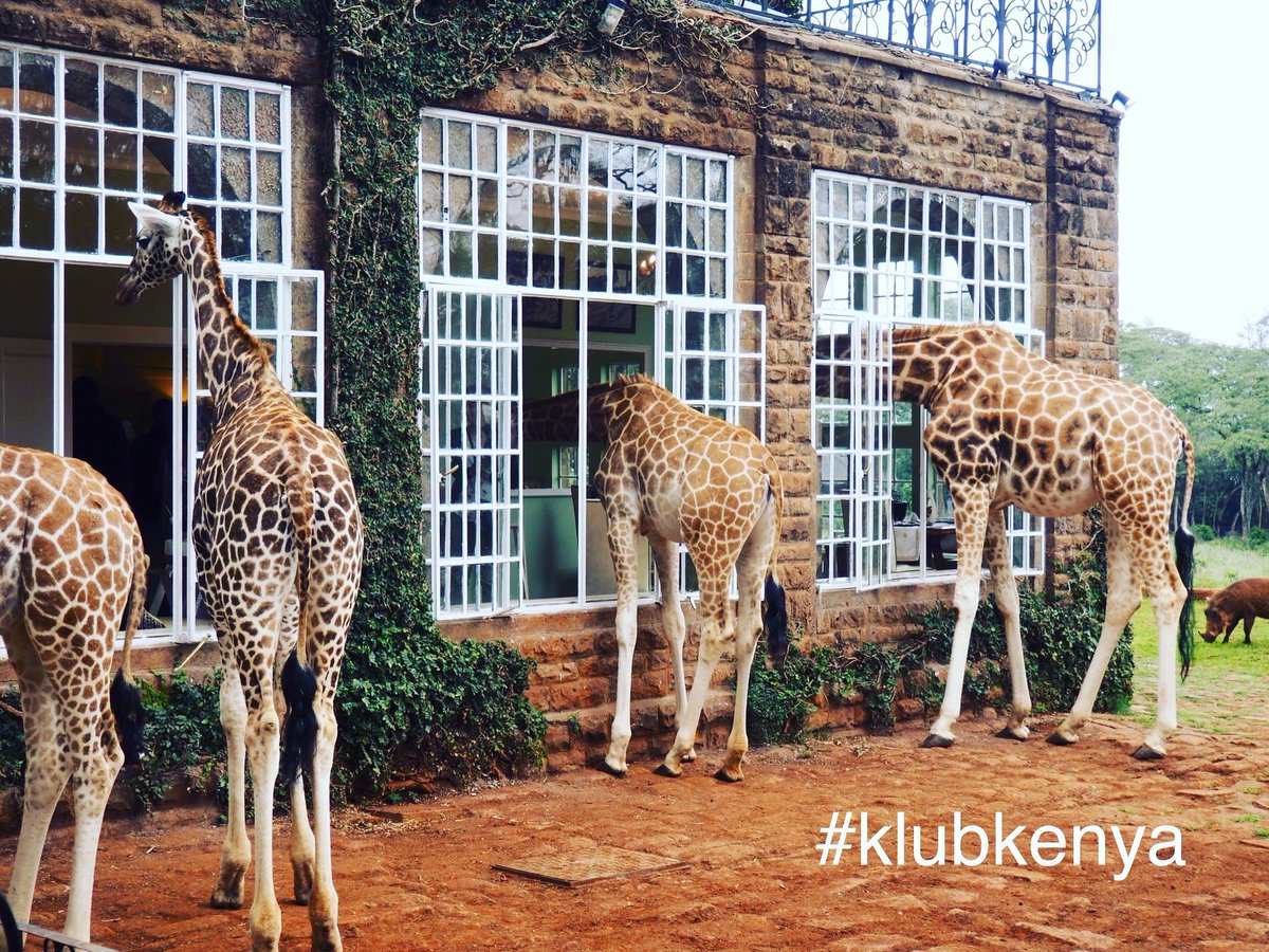 A waiting list is now in operation for ticket requests for the klubkenya.co.uk event on the 18th May.

#dontsaywedidntwarnyou #klubkenya #soldout #jointheque #indemand #yousnoozeyoulose #hottestticketintown #bypublicdemand