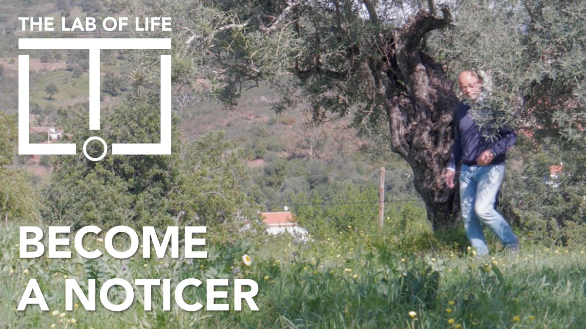 What becomes possible when you realise that the little things in life are the big things in disguise? Here's a kind of time machine that will show you how...
youtu.be/JHdX3aO9Drk