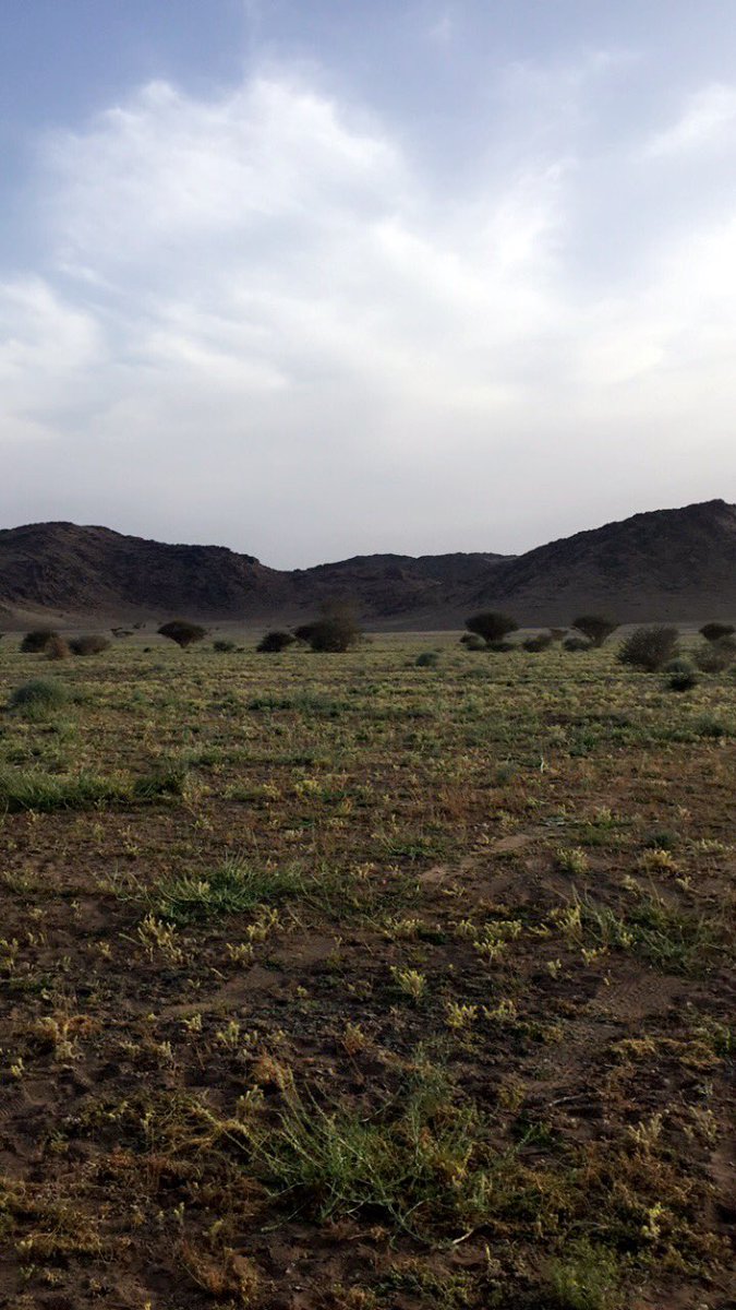 ماچڈ اڵحڑݕے (@majed3584) on Twitter photo 