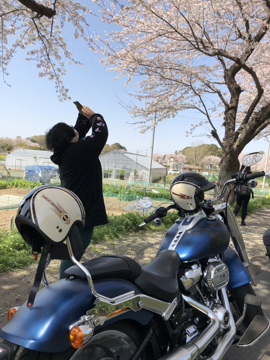 安藤なつ メイプル超合金 お世話になってる方にプチツーリングどうですか とお誘いいただき 近所のコンビニに出かけるくらいの 格好でお花見がてら と思ったら栃木まで連れていかれる プチツーの距離は人によるね