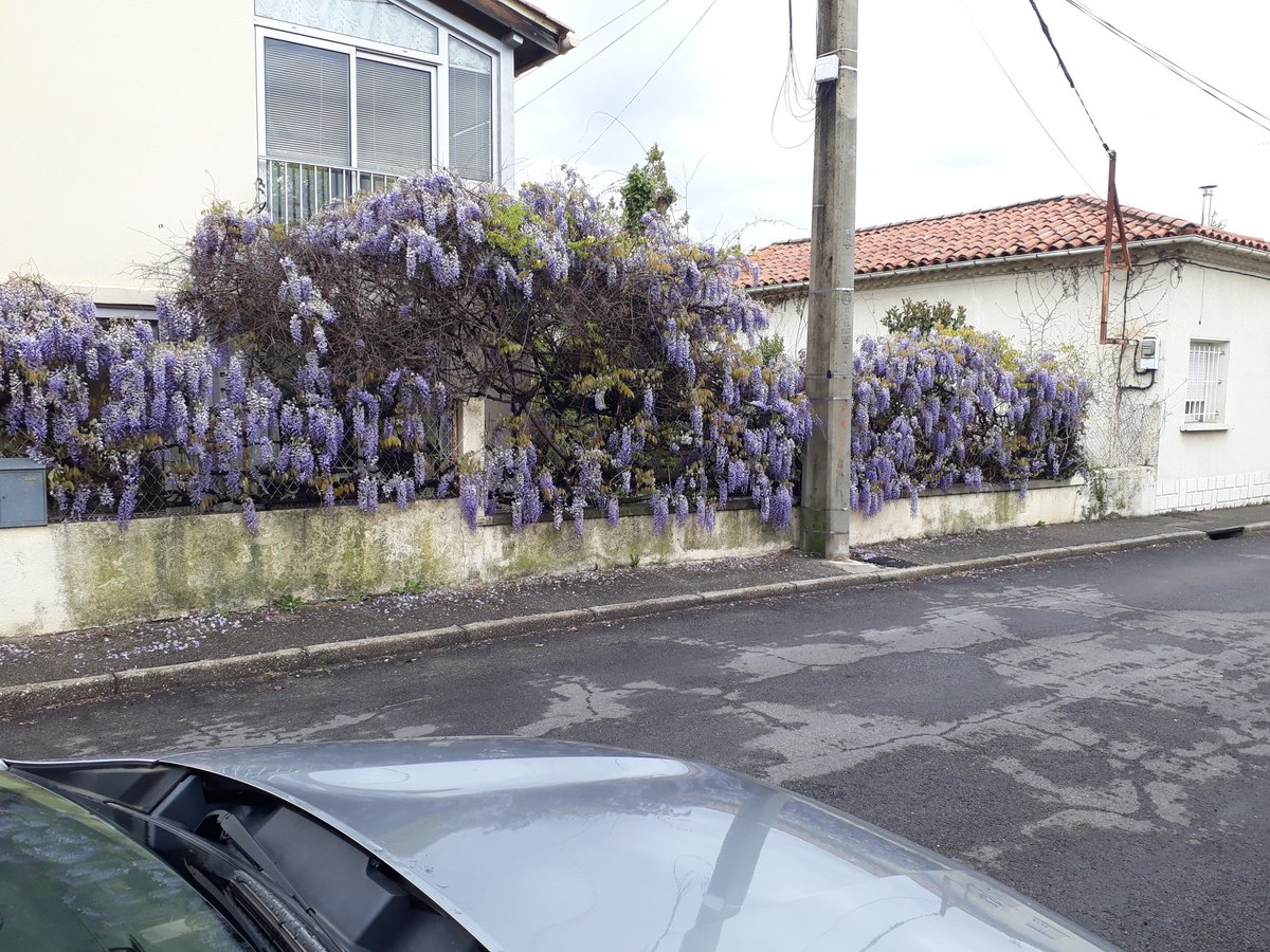 marcobobtail's tweet photo. #lafranceestbelle . Mee vec un temps pluvieux le printemps arrive https://t.co/aYwhnw4Zs9