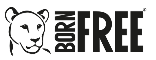 pebzz's tweet photo. As @BornFreeFDN turns 35, they marked the occasion by appealing to all UK zoos to stop keeping elephants within the next 35 years.
@PMW_Com 
#bornfree #keepwildlifeinthewild #elephantsforafrica https://t.co/k65Wi16RZI