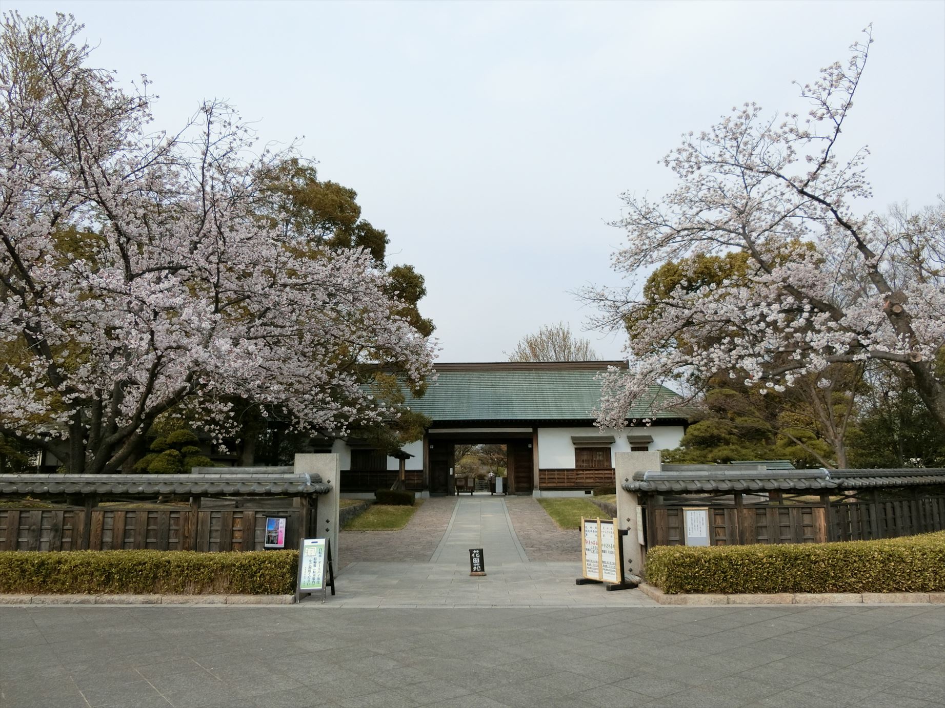 Twitter 上的 花田苑 花田苑の桜情報 4月7日 日 越谷市日本庭園花田苑の桜の様子を撮影しました 日本庭園 花田苑 越谷市 さくら 桜 こしがや能楽堂 春 ユスラウメ 山桜桃梅 シャガ ソメイヨシノ T Co Nl57oyprcu Twitter