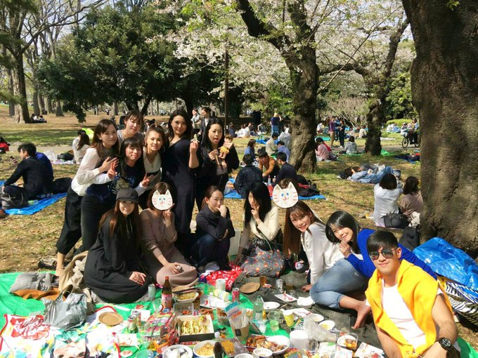 昨日は毎年恒例のお花見🌸去年は行けなかったんだけど、今年は一番に行って一番ベロベロになって２年分楽しんでやったぜ！って感じ🥴  今年は総勢13名の女の子が集まったよ❤️豪華なお花見でした🌸 https://t<a href="/tag/%E6%96%B0%E3%81%97%E3%81%84%E3%83%97%E3%83%AD%E3%83%95%E3%82%A3%E3%83%BC%E3%83%AB%E7%94%BB%E5%83%8F"class="tags"><span>#新しいプロフィール画像</span></a>
