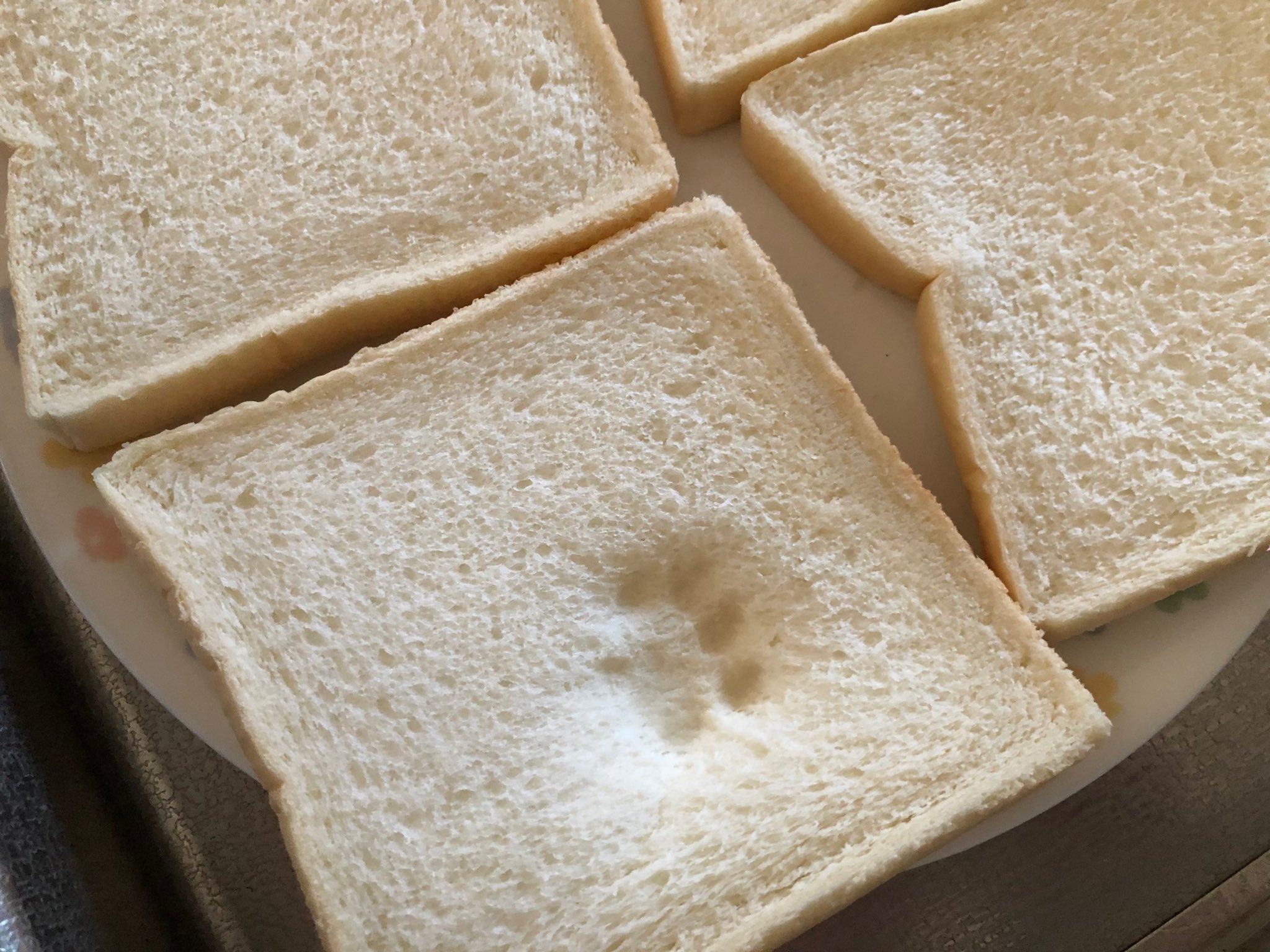 マネークリッパー吉沢の写真 ヤマザキのふんわり食パンはこんなにふんわりです 猫 T Co 7xcpbpoo2s Twitter