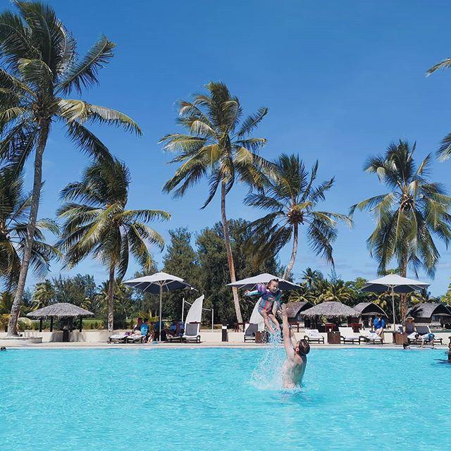 Olive in the sky with diamonds!! bit.ly/2Keqm1F