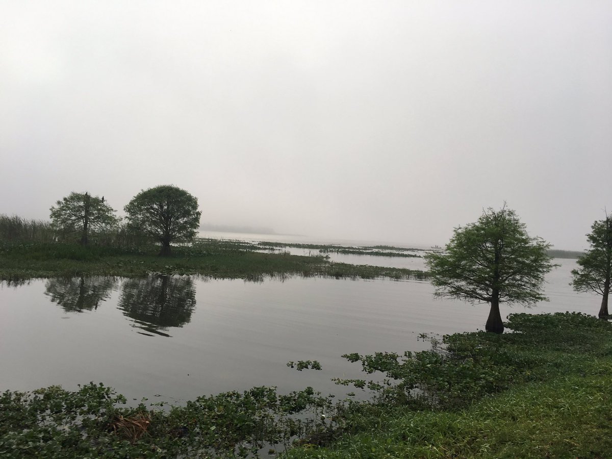 OutsideOklahoma's tweet photo. Probably won’t see this much in Oklahoma. Last day in Florida. Took a hike/walk around Lake Parker Park. There was also a warning sign about coyotes in the area. Interesting excursion this morning. #floridagators #floridahikes #oklahomaoutside https://t.co/nni0vqOetI