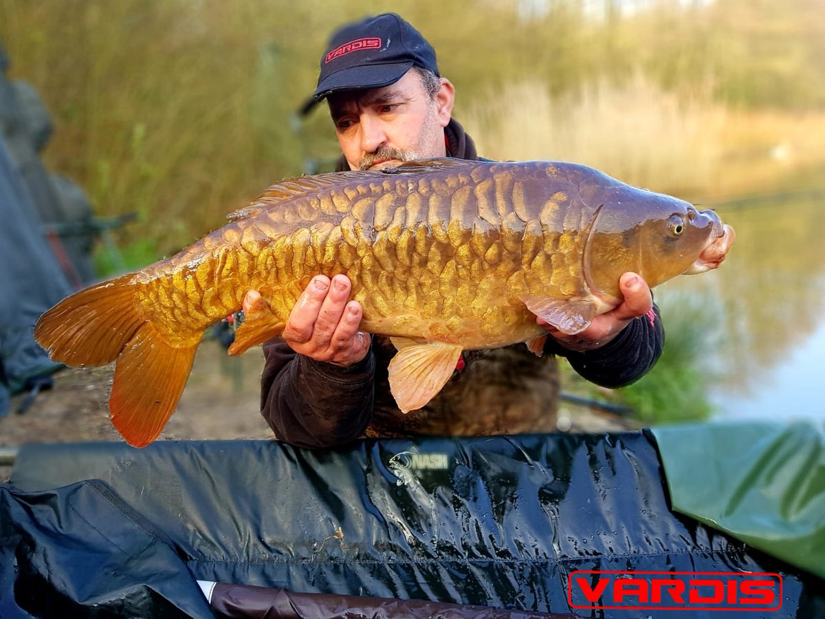VardisTackle's tweet photo. Team Member Trev Read with a cracking fully scaled mirror caught using autumn camou hooklink #4 classic boilie hook and edge baits 365 boilies
#Teamvardis #nononsense #fullyscaled
https://t.co/JiPEZT1gK0
https://t.co/dBzraY1flH https://t.co/P5OFBIFwJR