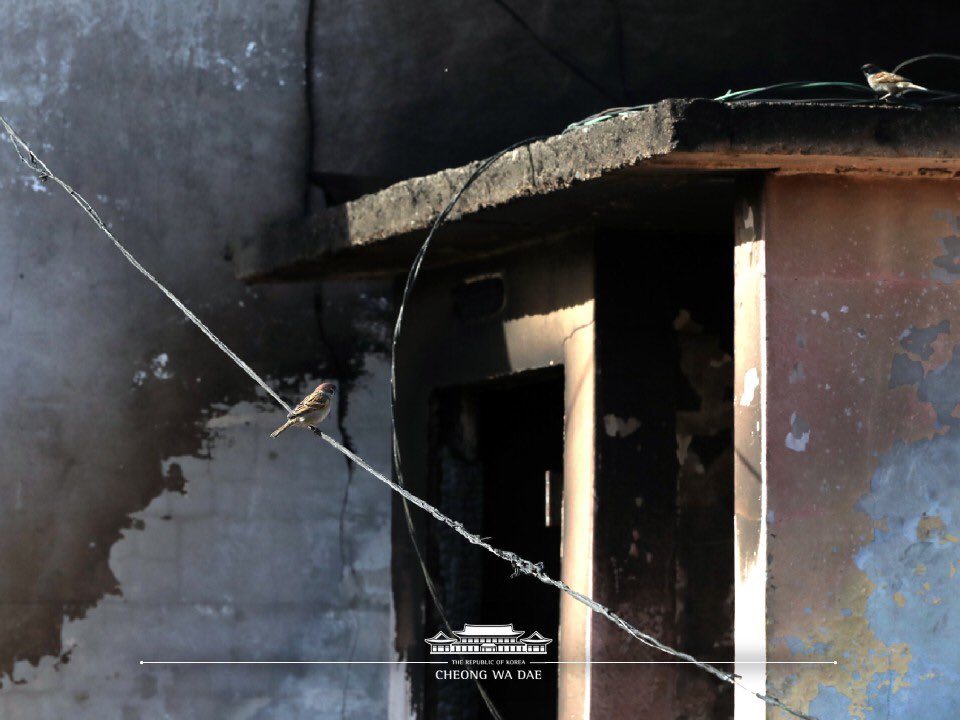 이웃의 관심이 늘 함께한다는 믿음, 정부가 헌신적으로 노력해줄 것이라는 믿음, 이 믿음이야말로 재난을 극복하는 큰 힘입니다. 강원도 산불에 임하는 국민들의 적극적인 대응에 감동했습니다. 큰 힘을 얻었습니다. 정부도 더욱 분발하겠습니다.