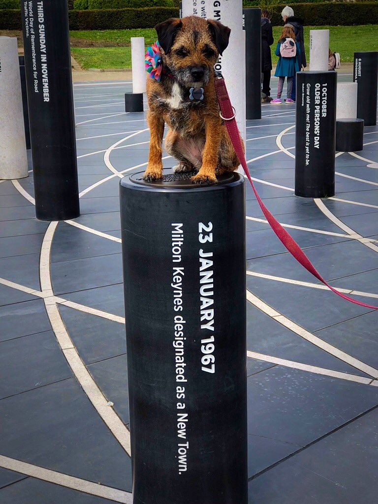 RubyTuesdayBT's tweet image. Sort of a stump #stumpclub #BTposse